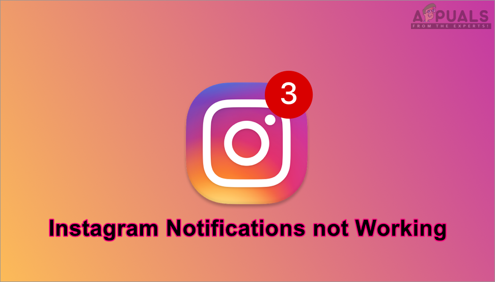 كيفية الإصلاح Instagram الإخطارات لا تعمل