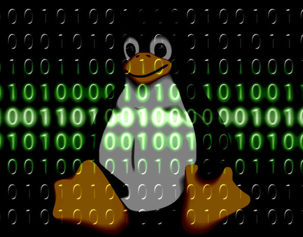 ما يجب أن يفعله Linux للوصول إلى الجماهير 1