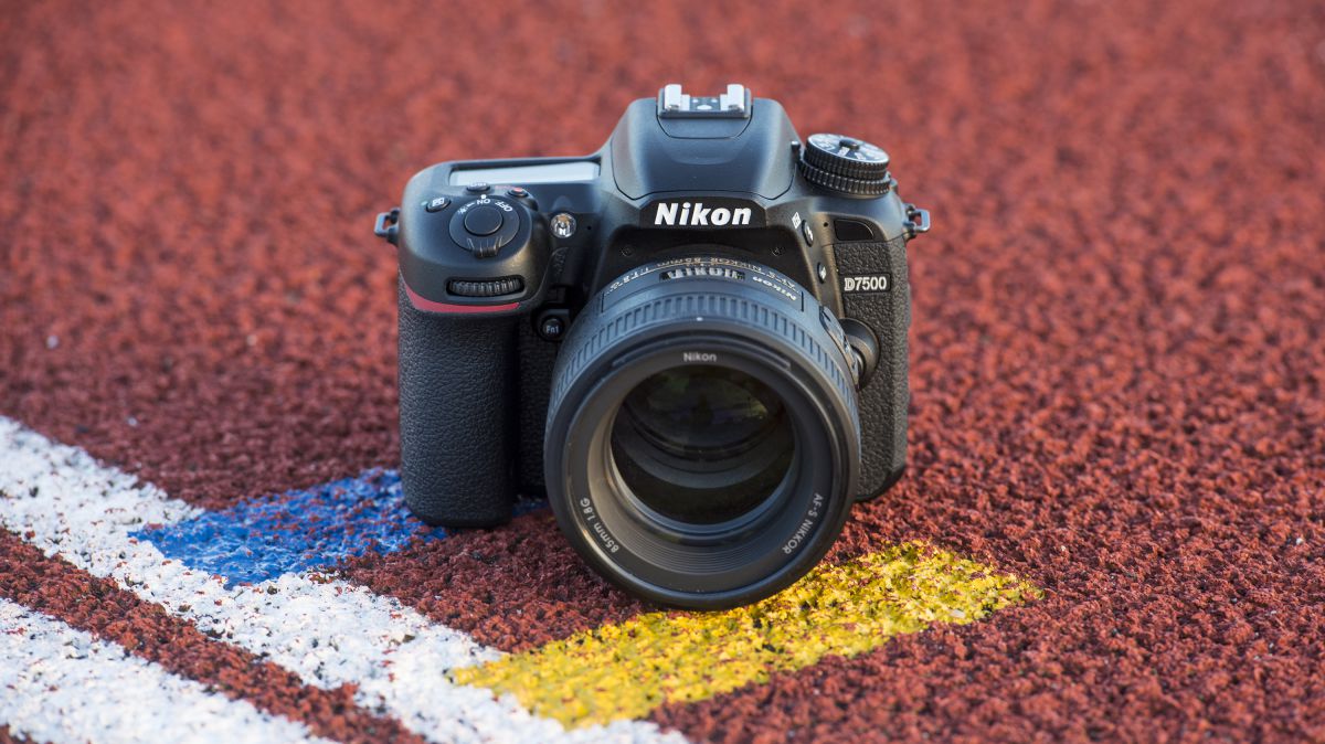 أفضل كاميرا DSLR 2019: 10 كاميرات رائعة تناسب جميع الميزانيات