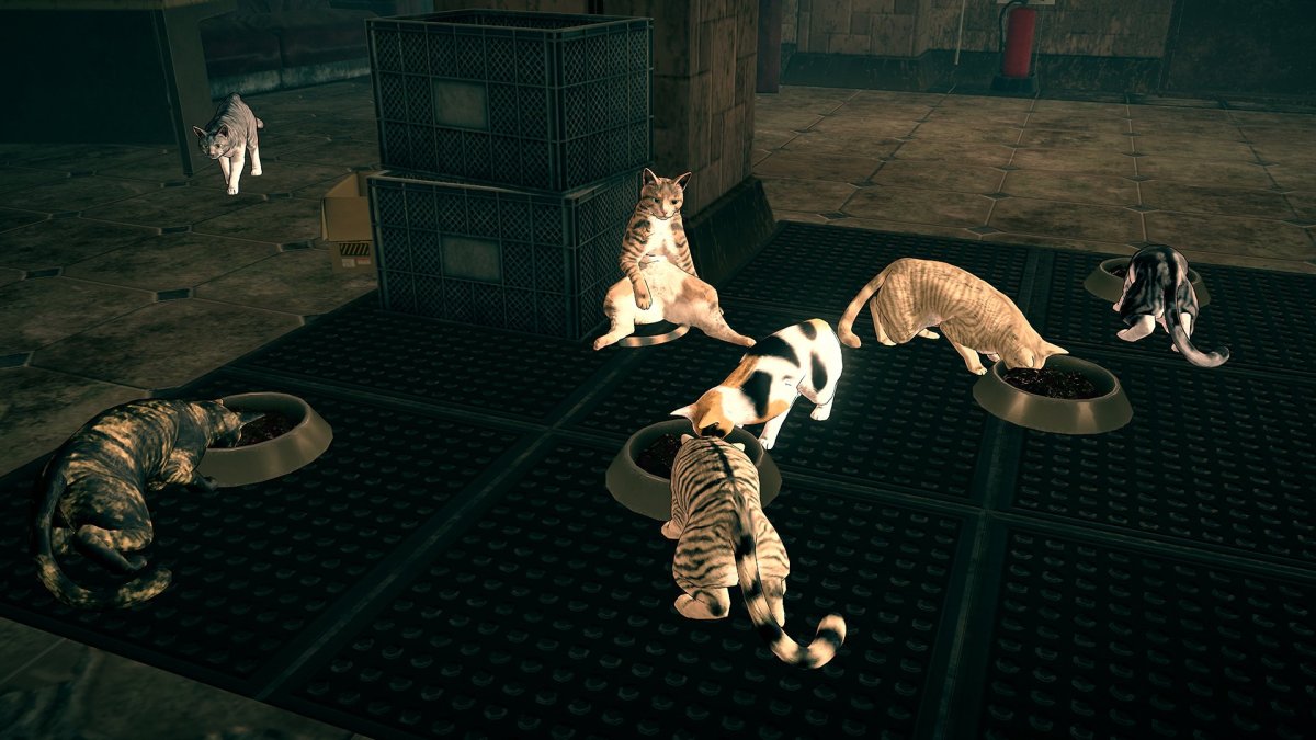 يتناول مدير سلسلة Astral سبب وجود الكثير من القطط في اللعبة