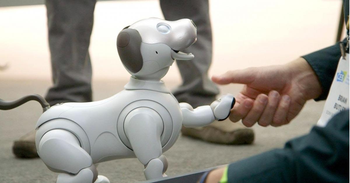 سوني لإطلاق سراح الكلب الروبوت دعا Aibo في سبتمبر ، سيكلف ضخم 2989 $