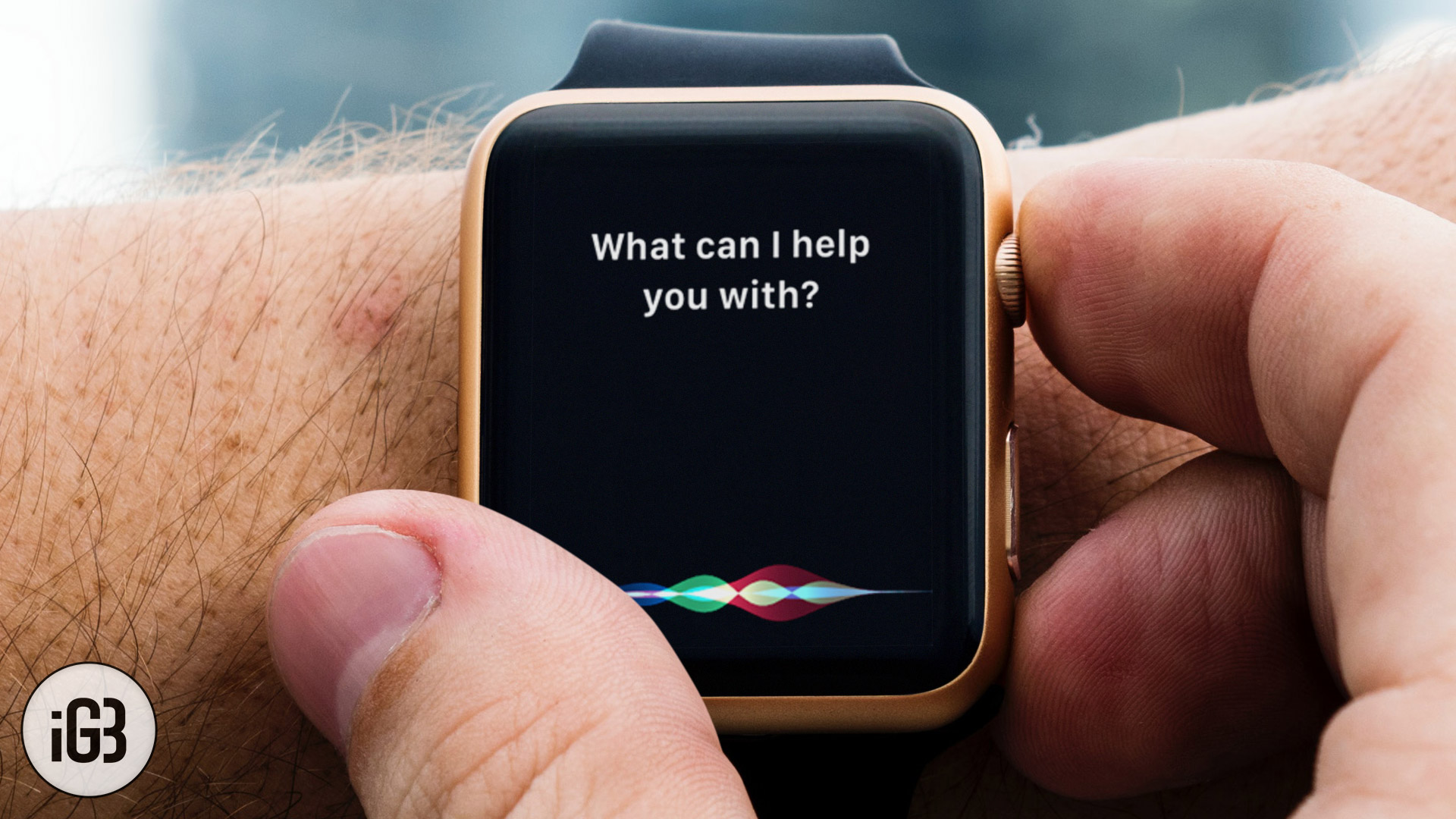 سيري لا تعمل على Apple Watch؟ إليك كيفية إصلاح هذه المشكلة