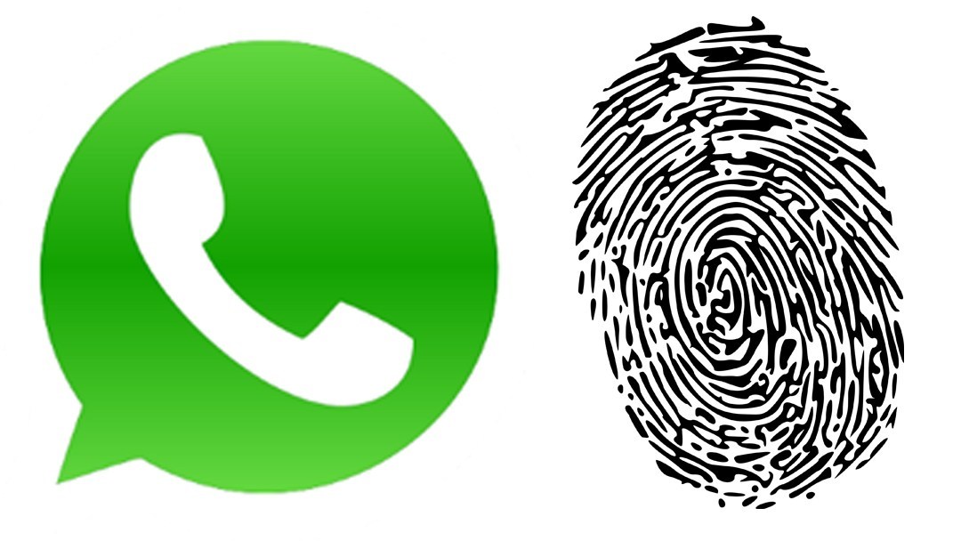 هذه هي الطريقة التي تحمي بها محادثات WhatsApp باستخدام بصمة Android