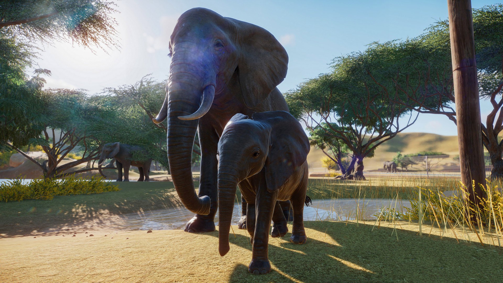 يعرض Planet Zoo وضع القصة قبل الإصدار التجريبي من الشهر المقبل