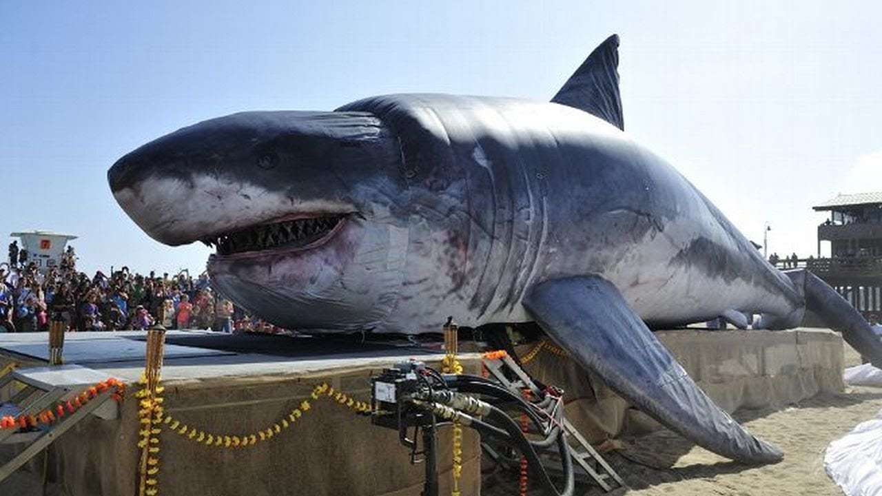 ميغ: القرش العملاق