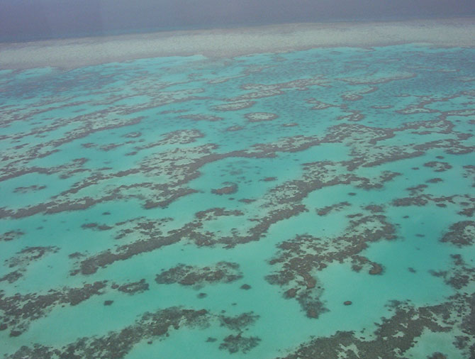 يستخدم DroneDeploy طائرات بدون طيار لمراقبة الحاجز المرجاني العظيم في أستراليا 2