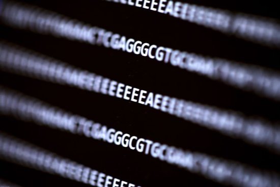 يمكن للباحثين إصابة الكمبيوتر باستخدام فيروس مشفر في شريط الحمض النووي 2