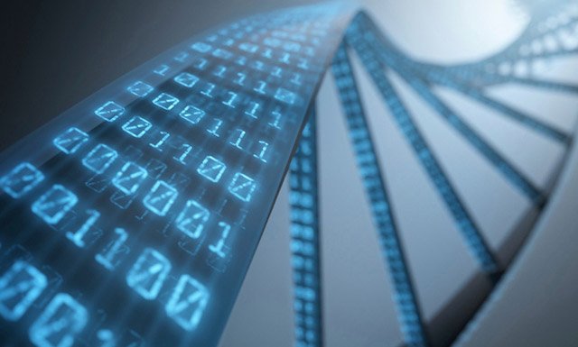 Cientistas conseguem guardar 215 PETAbytes num grama de DNA e acessar os dados sem erro