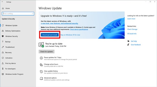 Windows  11 build 22000.176 يعمل على إصلاح الخلل في متجر Microsoft