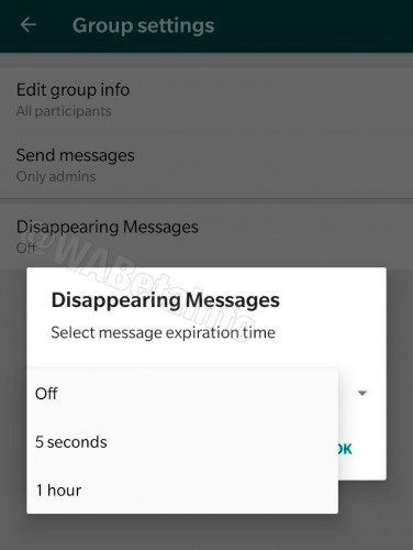 يختبر WhatsApp Beta لنظام Android ميزة الرسائل "التدمير الذاتي" 3
