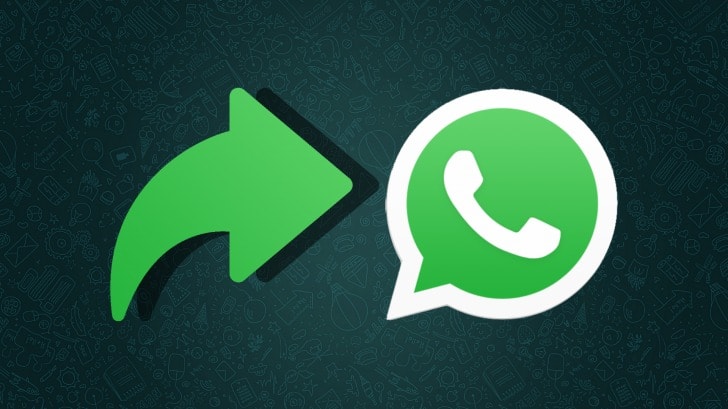 WhatsApp: الأخبار تجلب نسخًا احتياطية مشفرة بكلمة مرور!