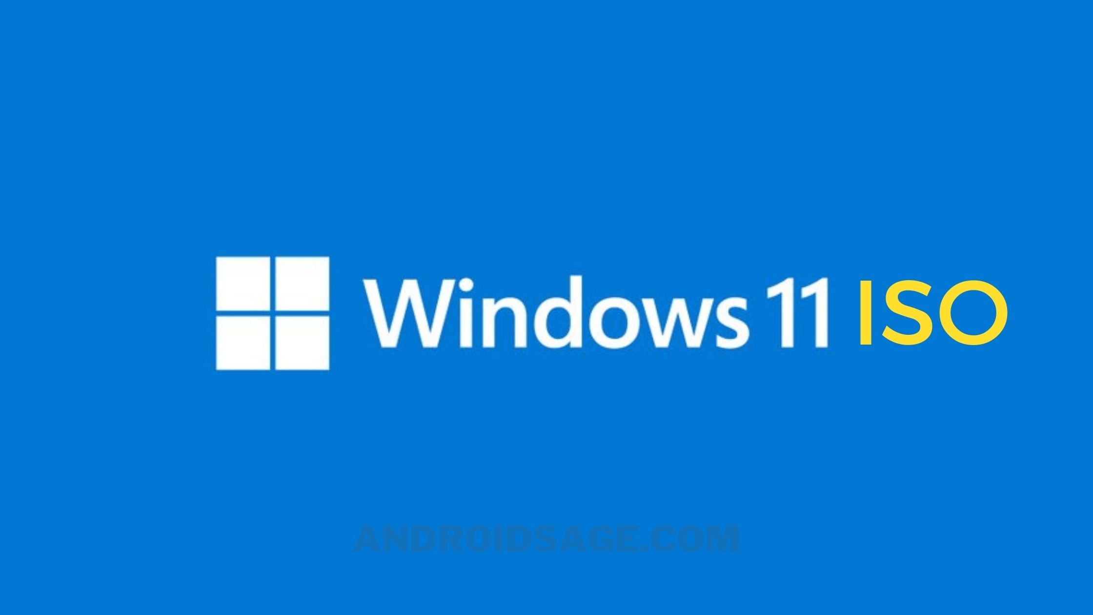 Windows 11 22000.160 ISO Download Directly from Microsoft Servers