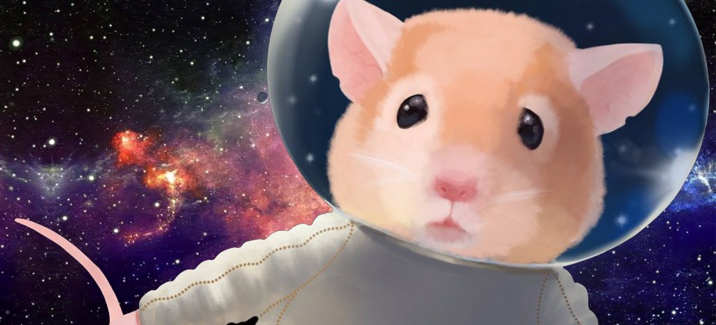 A NASA lançou 20 ratos no espaço em um foguete da SpaceX