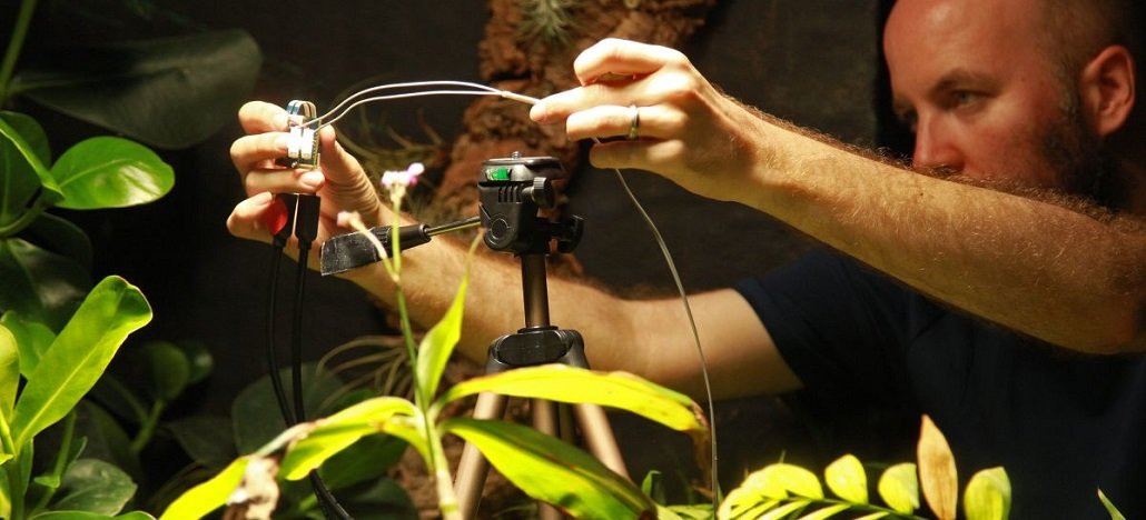 Cientistas criam câmera para plantas que utiliza energia da fotossíntese