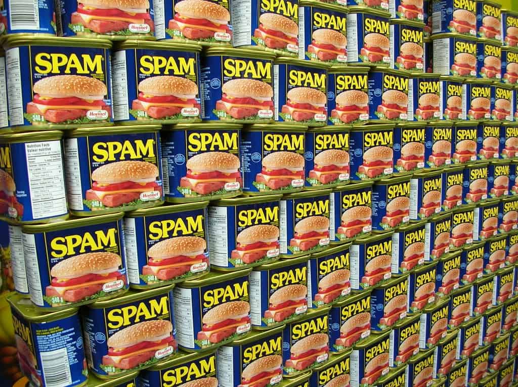 SPAM: