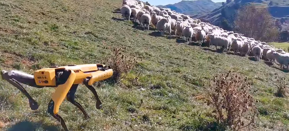 Boston Dynamics mostra seu robô Spot agindo como cão pastor, mas ideia não agrada