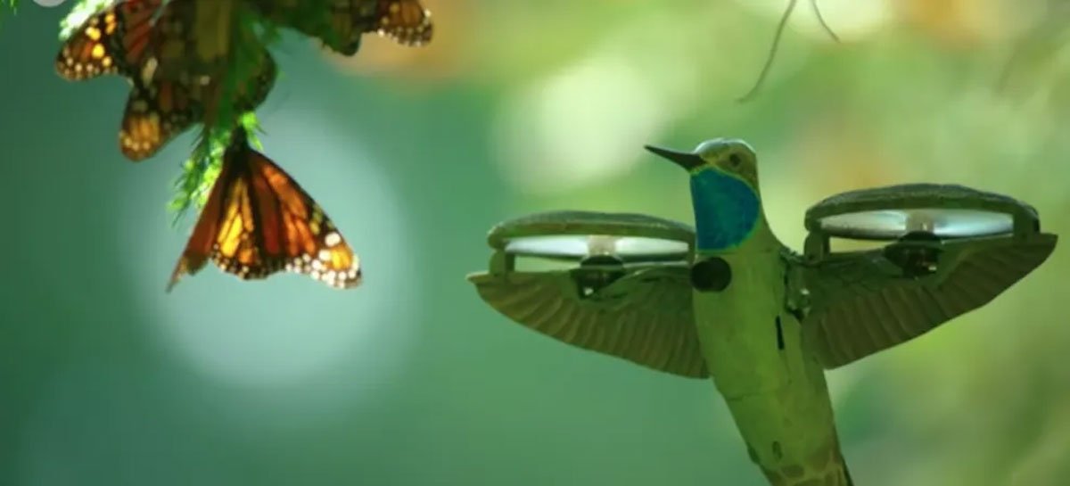 Drone disfarçado de beija-flor captura imagens incríveis da natureza