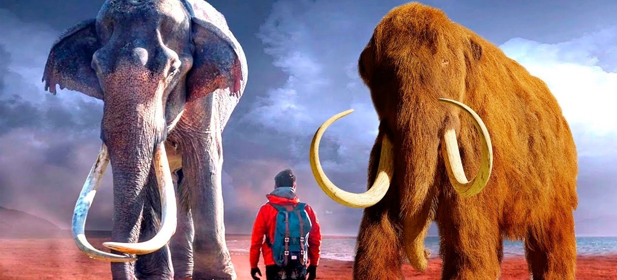 Cientistas querem ressuscitar mamute com células de 28.000 anos atrás