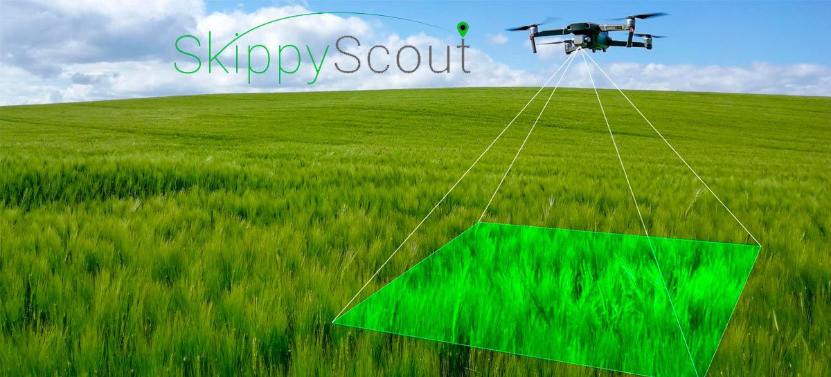 يسمح تطبيق Skippy Scout بمراقبة المحاصيل باستخدام الذكاء الاصطناعي 1