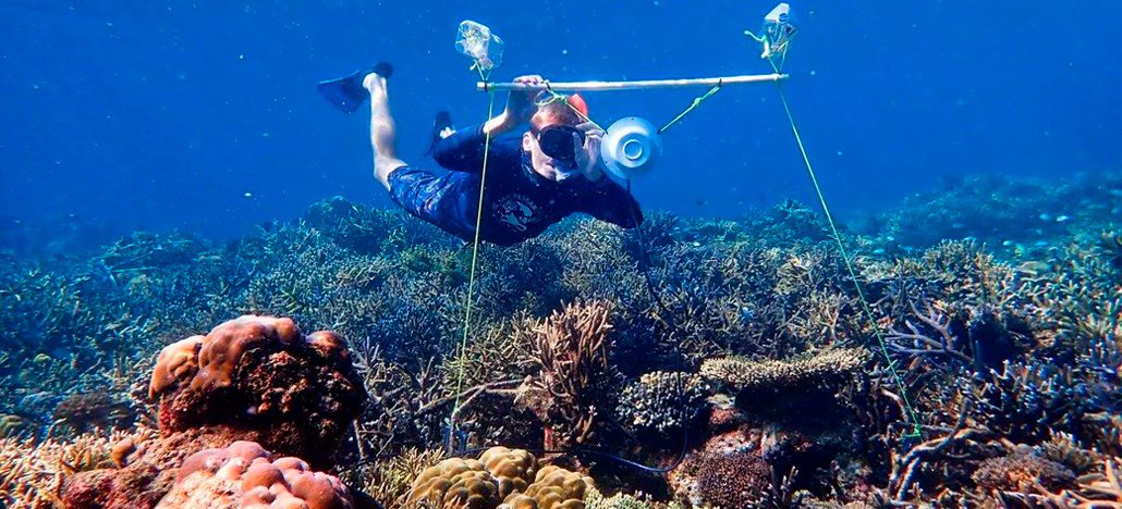 Cientistas instalam alto-falantes no fundo do mar para repopular recifes danificados
