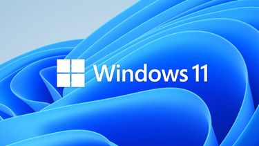 Windows  11 مايكروسوفت