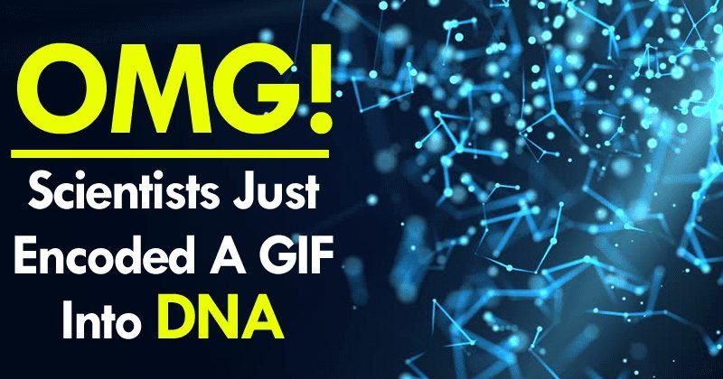 OMG! Scientists Just Encoded A GIF Into DNA