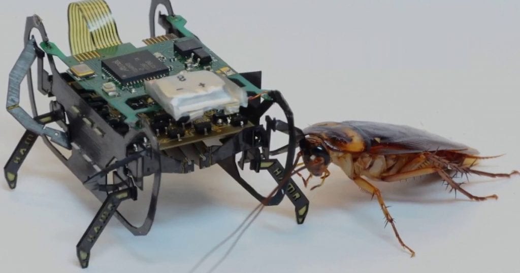 تعمل رولز رويس على تطوير روبوتات "صرصور" صغيرة 1