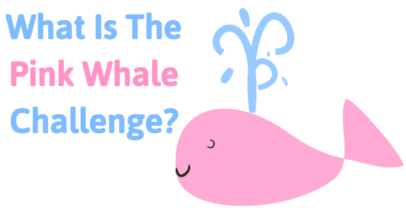 ما هو تحدي الحوت الوردي؟