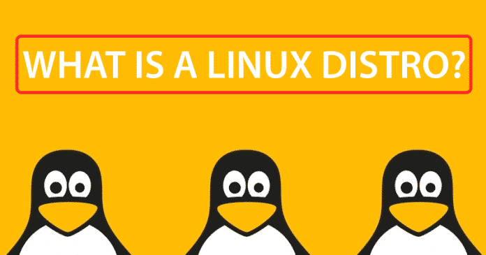 ما هي توزيعة Linux وكيف تختلف عن بعضها البعض