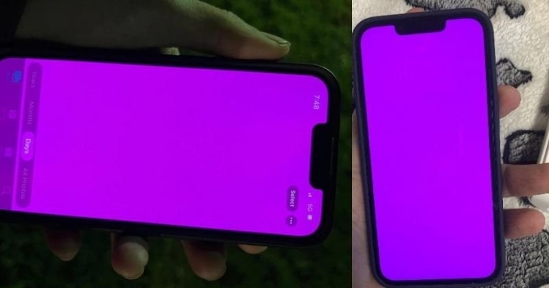 iPhone 13 Software Bug Causes Pink Screen Issues, Here