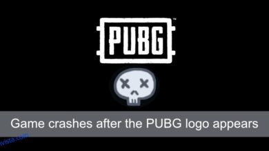 كيفية إصلاح أعطال اللعبة بعد ظهور شعار PUBG