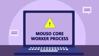 إصلاح عملية العامل الأساسي MoUSO i Windows 10