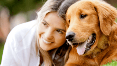 4 أدوات لتتبع صحة الكلاب / النشاط لرعاية صغار الفراء
