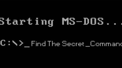 Find This Secret Command In MS-DOS Code To Win $100,000 Reward