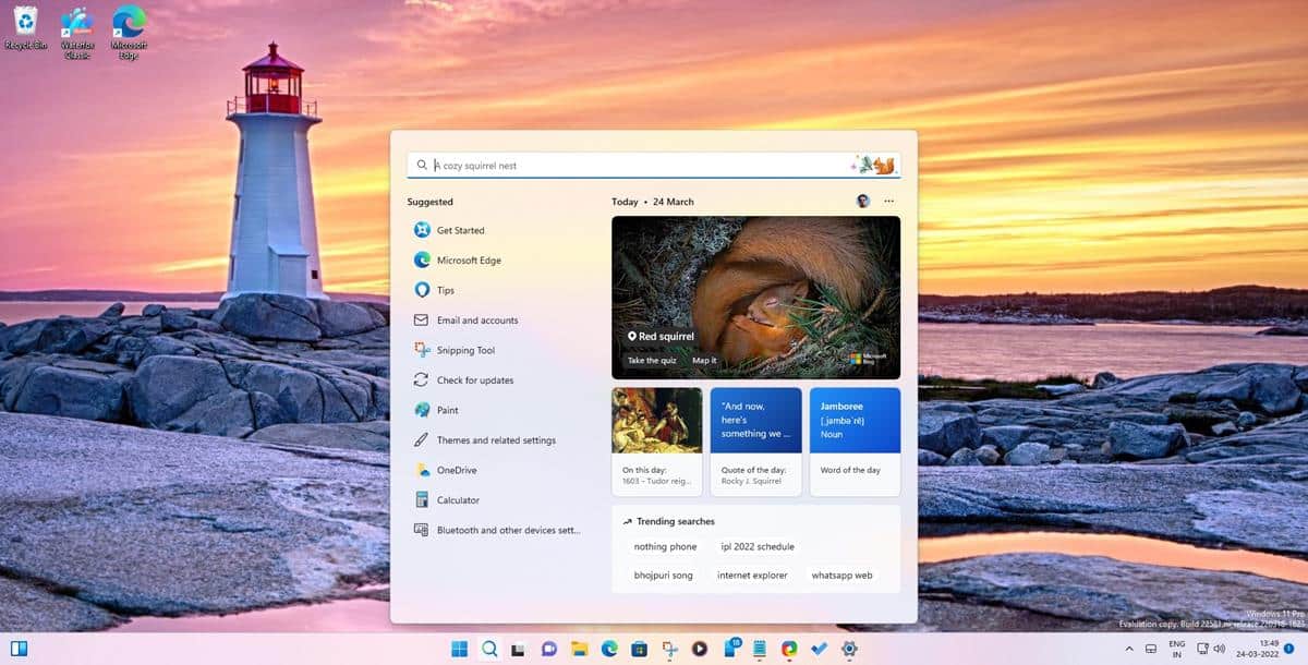 Windows 11 يبرز البحث