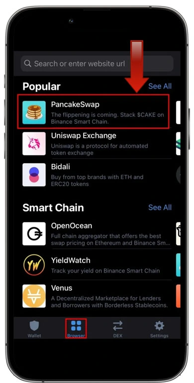 كيفية تمكين Trust Wallet DApp Browser على Android / iPhone 11
