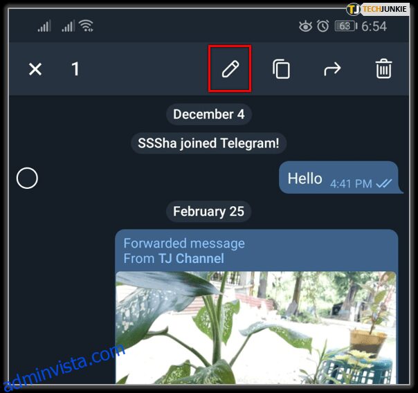 كيفية تثبيت وإدارة الرسائل في Telegram 7