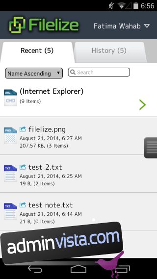 يقوم Filelize بمزامنة أحدث الملفات مع خدمة التخزين السحابية المفضلة لديك [Windows] 2