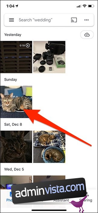 كيفية استخدام Google Lens على iPhone 6