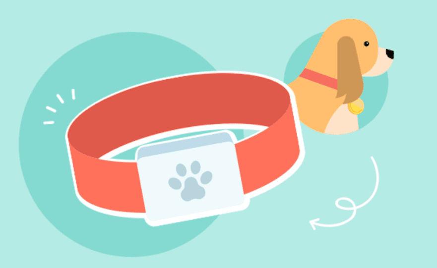 4 أدوات لتتبع صحة الكلاب / النشاط لرعاية صغار الفراء 1