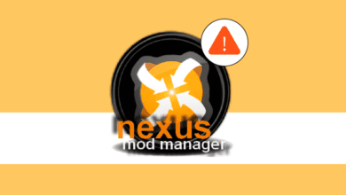 إصلاح Nexus Mod Manager لا يفتح في Windows 10