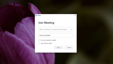 كيفية الانضمام إلى اجتماع Zoom: قم بتسجيل الدخول باستخدام كلمة المرور