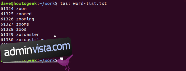 كيفية استخدام الأمر tail على Linux