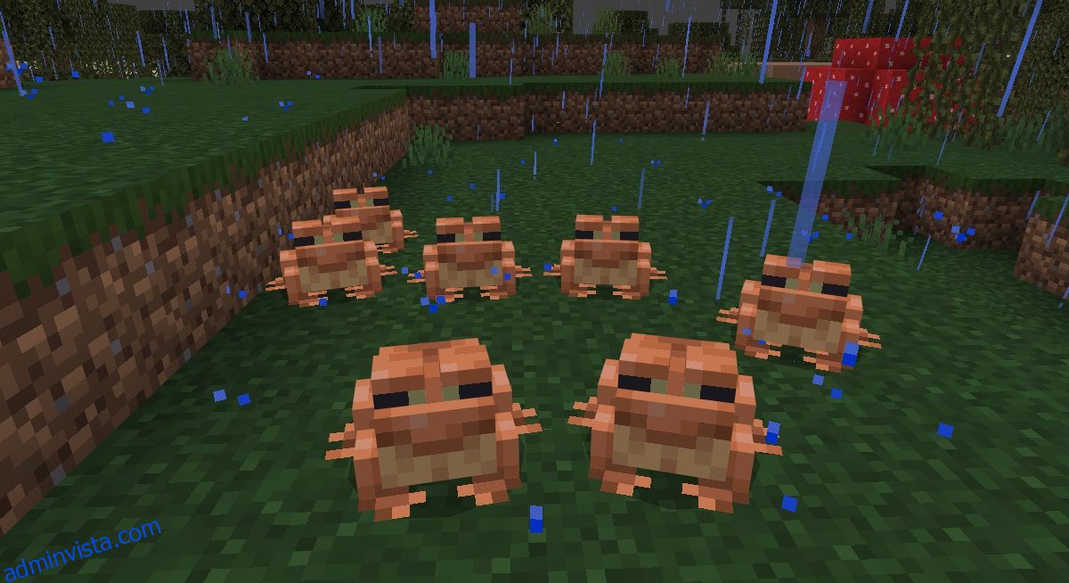 Minecraft Frogs: كيفية العثور عليها