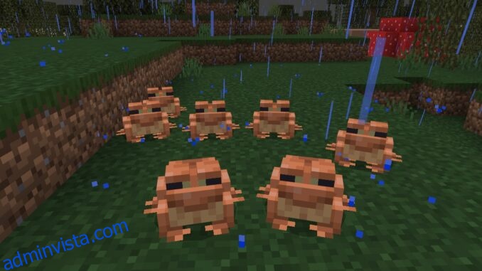 Minecraft Frogs: كيفية العثور عليها 1
