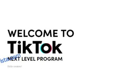 ما هو برنامج TikTok Creator؟ هل ستنضم؟
