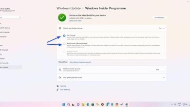 Windows 11 Insider Preview Build 22581 is a rare chance to switch between Dev and Beta Channel