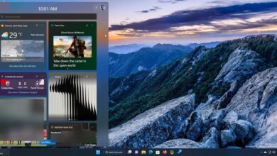 Windows 11 Insider Preview Build 25174 introduces a Game Pass widget