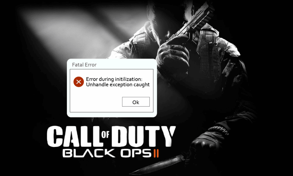 إصلاح خطأ CoD Black Ops 2