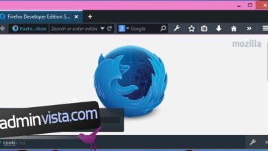 كيفية إظهار وإزالة ملفات تعريف الارتباط في Firefox Developer Edition